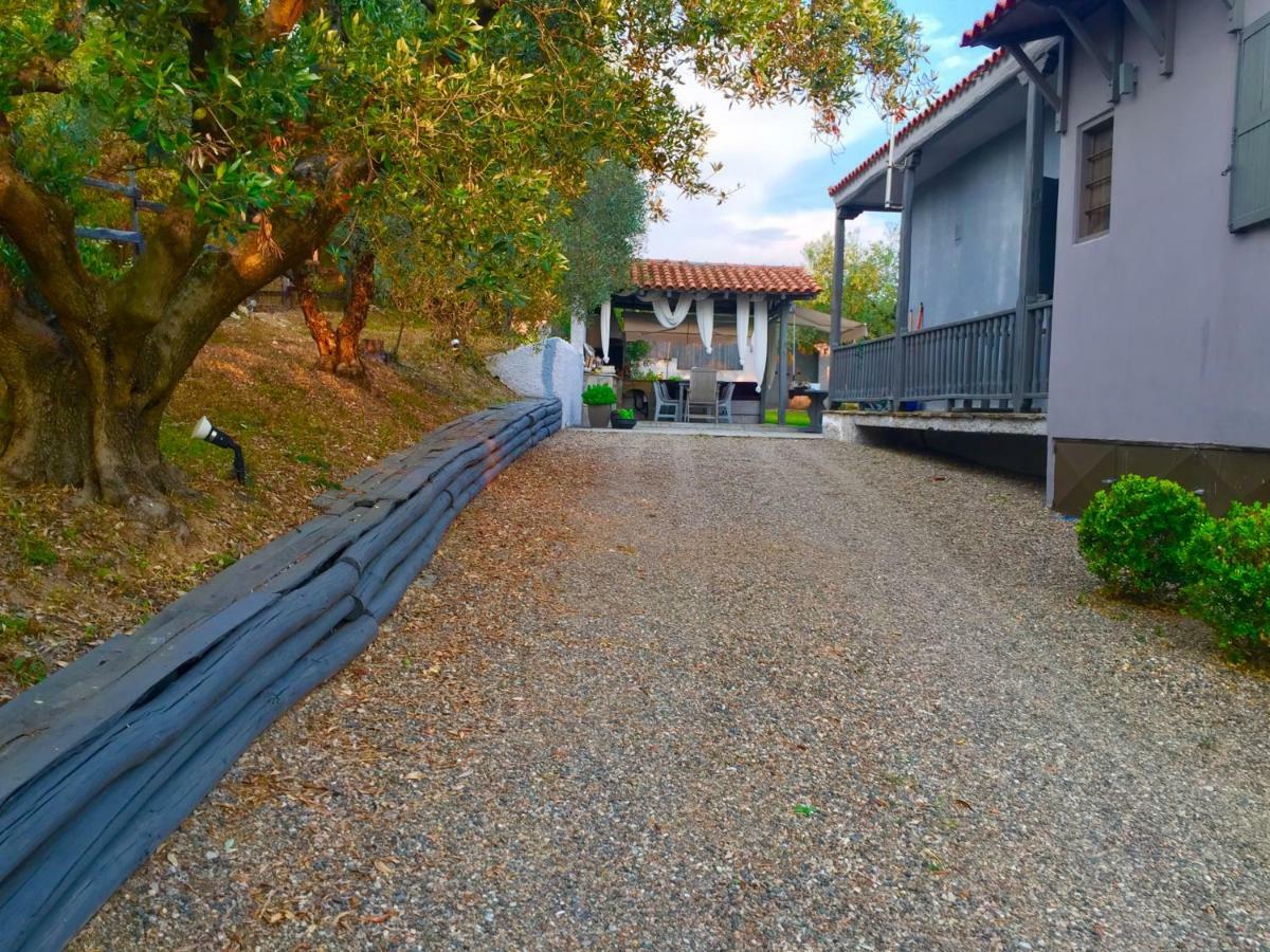Sea View Villa In Olive Garden Nea Kallikrateia Exterior photo