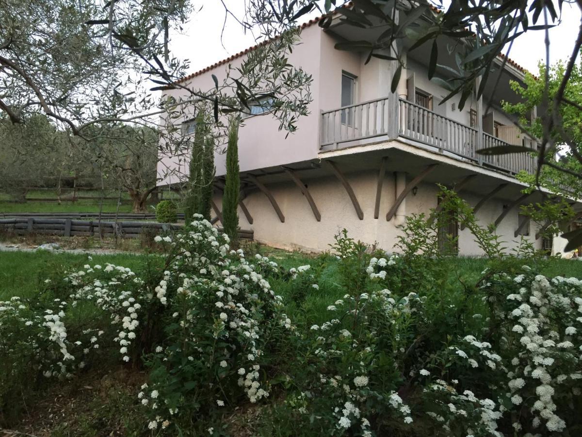 Sea View Villa In Olive Garden Nea Kallikrateia Exterior photo
