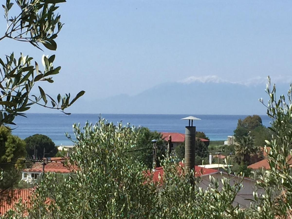Sea View Villa In Olive Garden Nea Kallikrateia Exterior photo